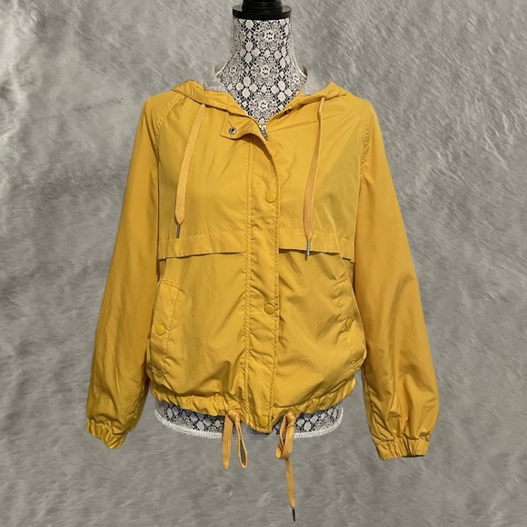 Divided Yellow Jacket - Picture 1 of 6